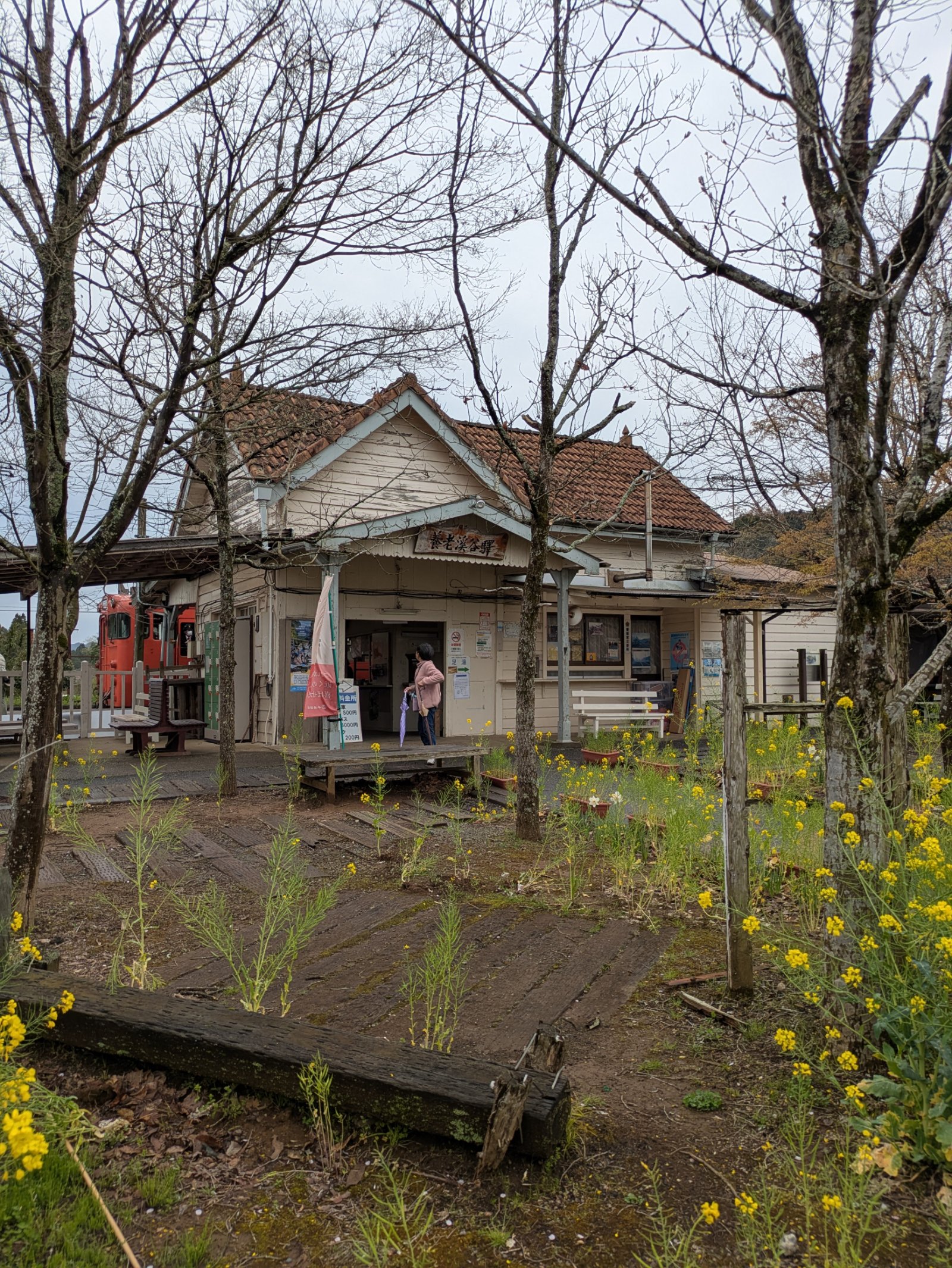 菜の花と枝の木々に囲まれた木造の養老渓谷駅舎、曇り空の下