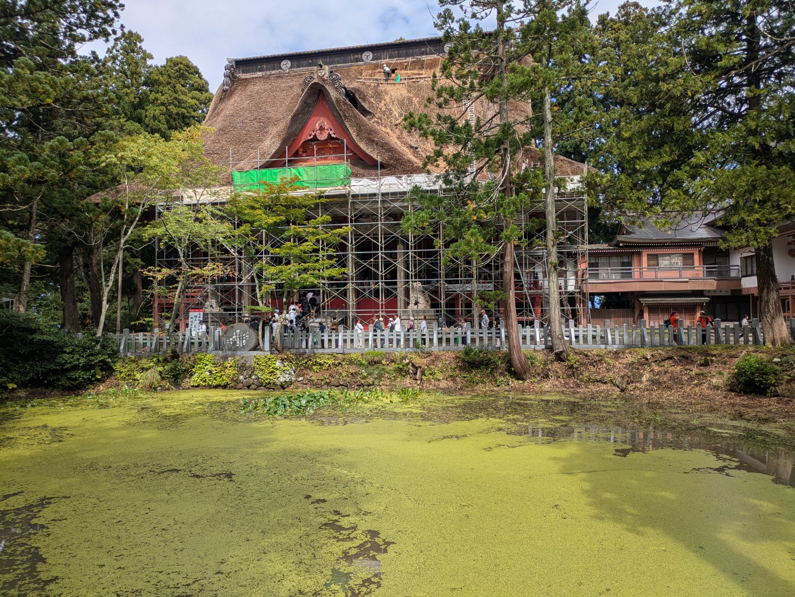 足場に囲まれ茅葺き屋根の修復中の出羽三山神社の社殿と、手前の浮草に覆われた池