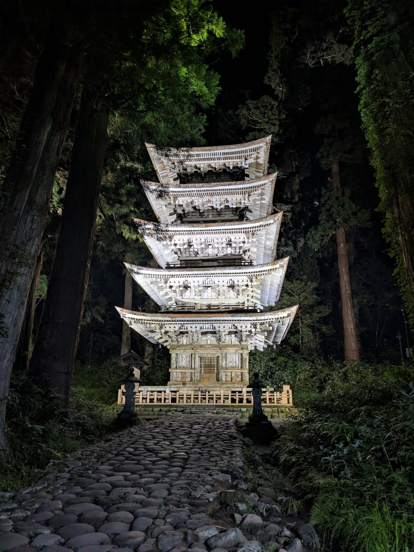 夜の杉木立の中でライトアップされた羽黒山の五重塔と石畳の参道