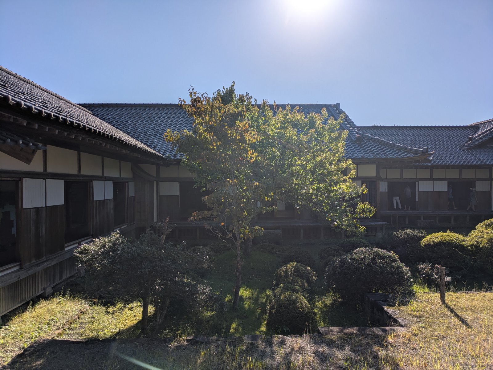 晴天の下、瓦屋根の木造屋敷に囲まれた中庭と庭木、縁側を歩く見学者