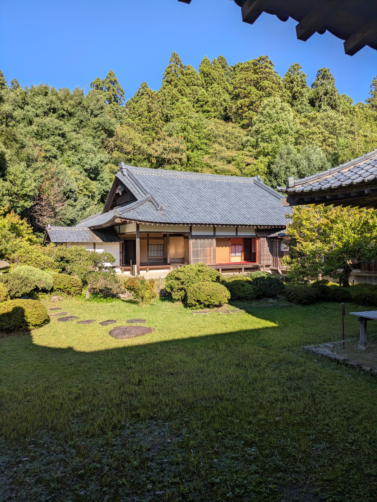 芝生の庭と植え込みの奥に建つ瓦屋根の武家屋敷、晴れた日の杉林を背に