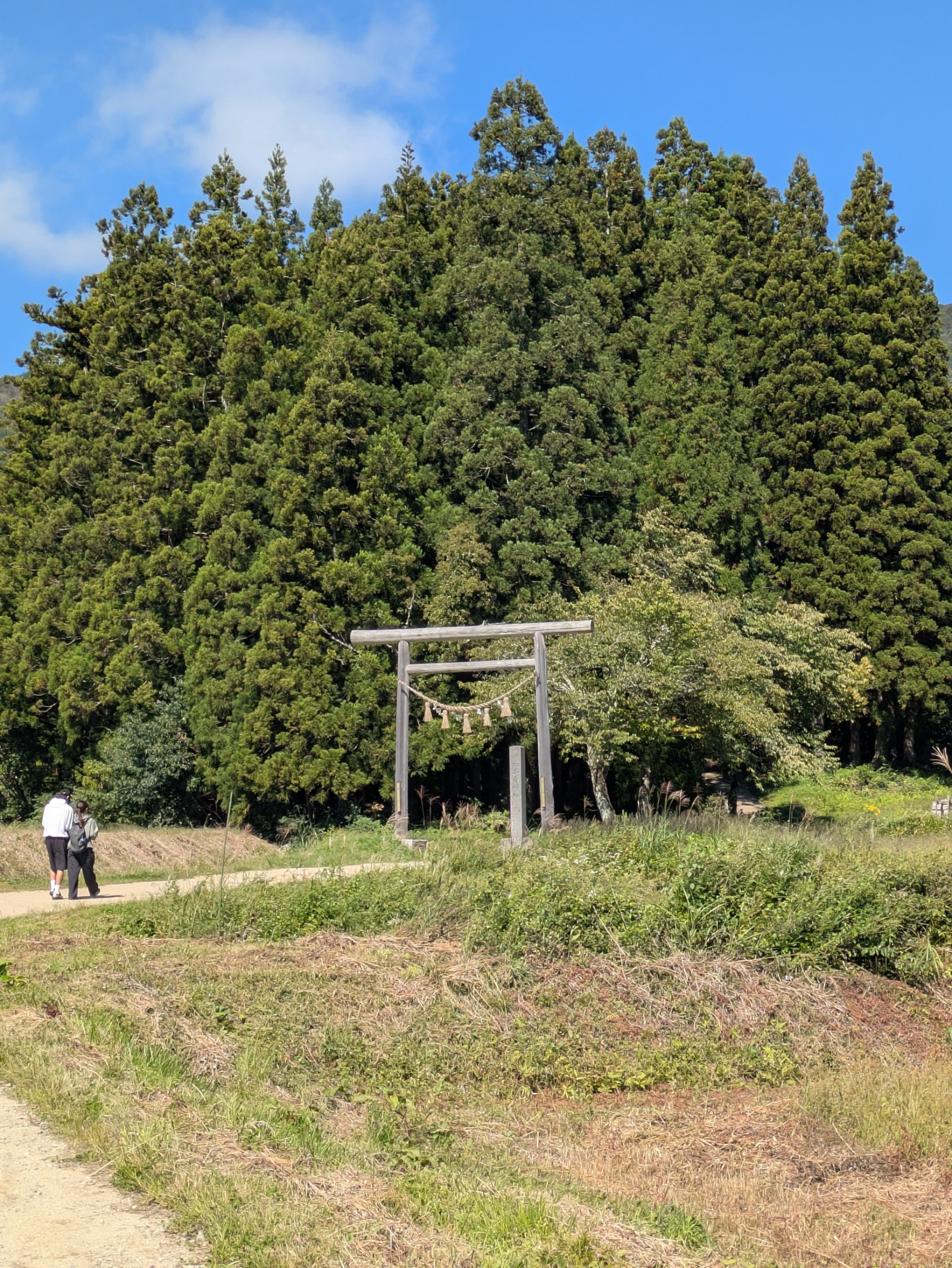 杉木立の前に立つ木の鳥居と、草地の小道を歩く二人連れ