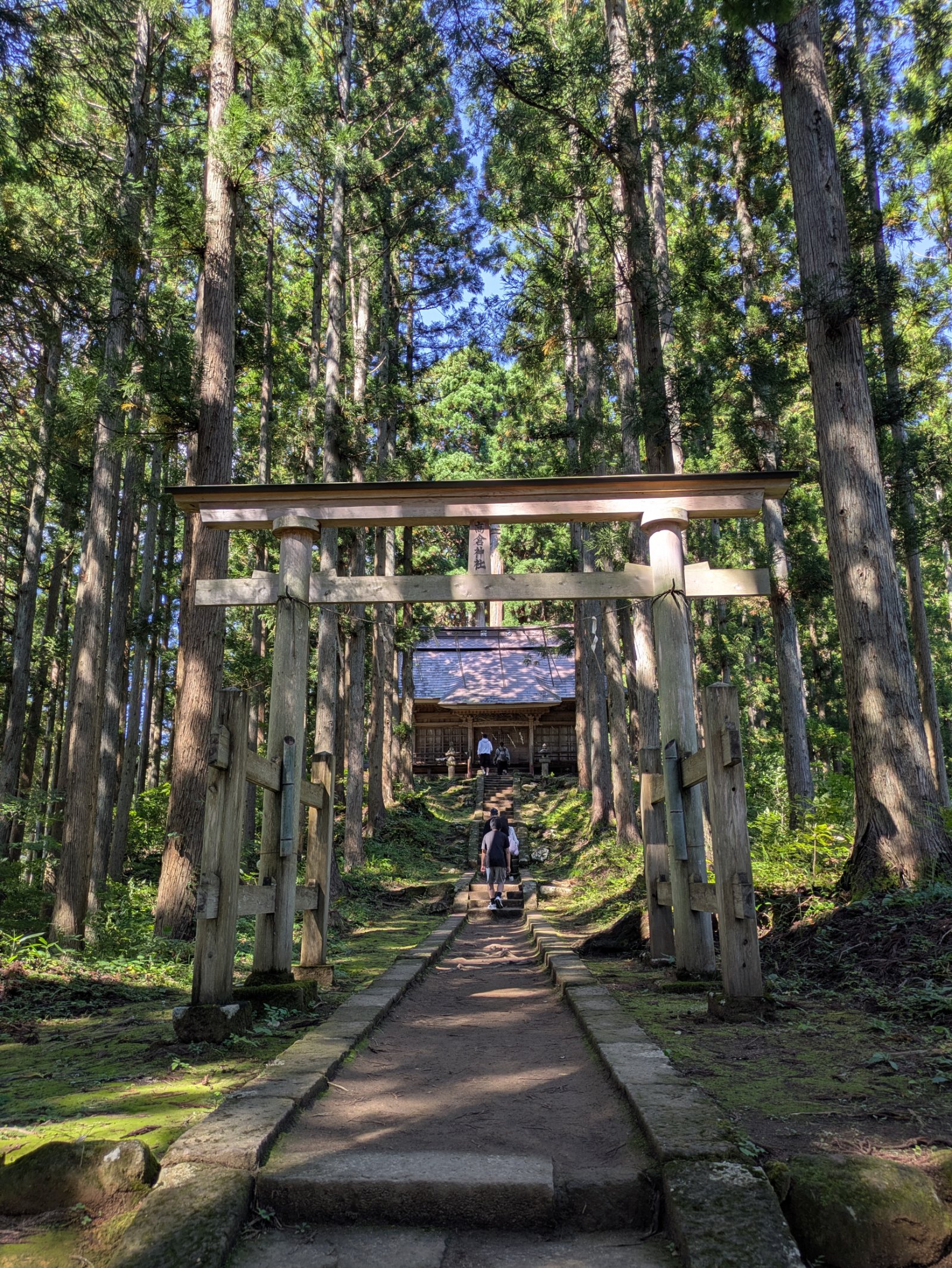 杉木立の中、木の鳥居から石段の先の社殿へ続く参道を歩く参拝者
