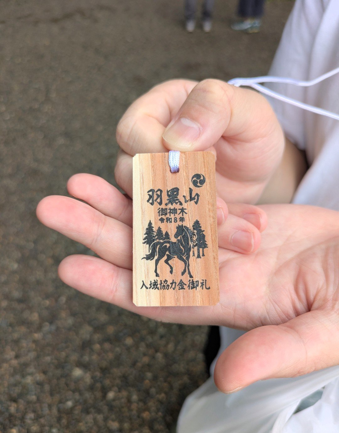 手のひらに載せた羽黒山の入域協力金御札、杉林と馬の絵が刻まれた木札
