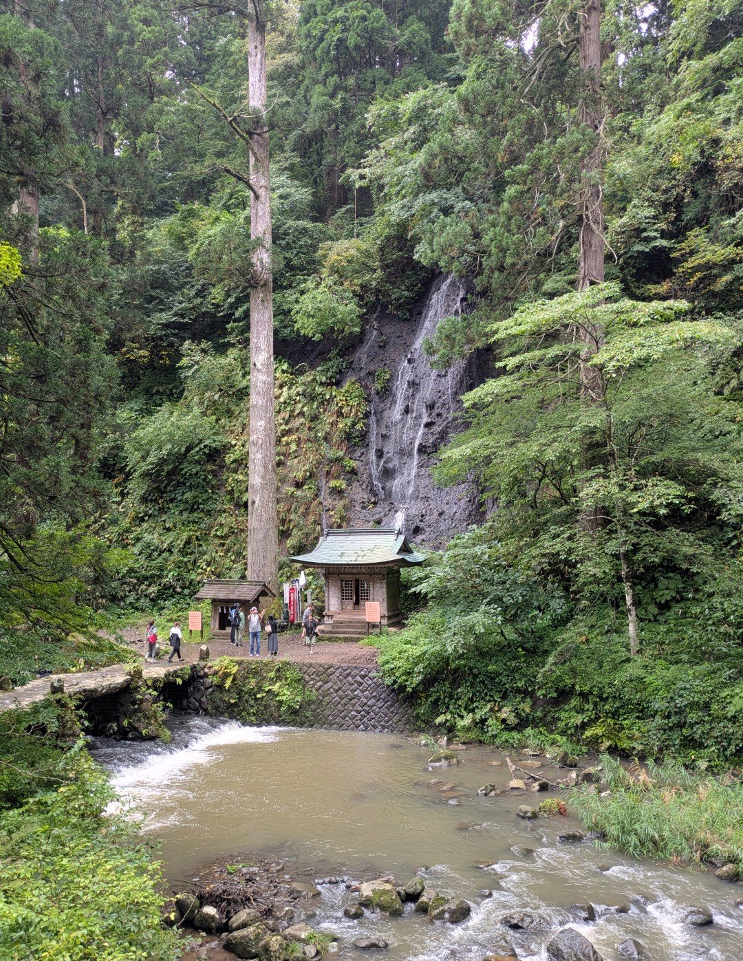 羽黒山の杉木立の中、岩肌を流れ落ちる滝と小さな社、手前の渓流と参拝者