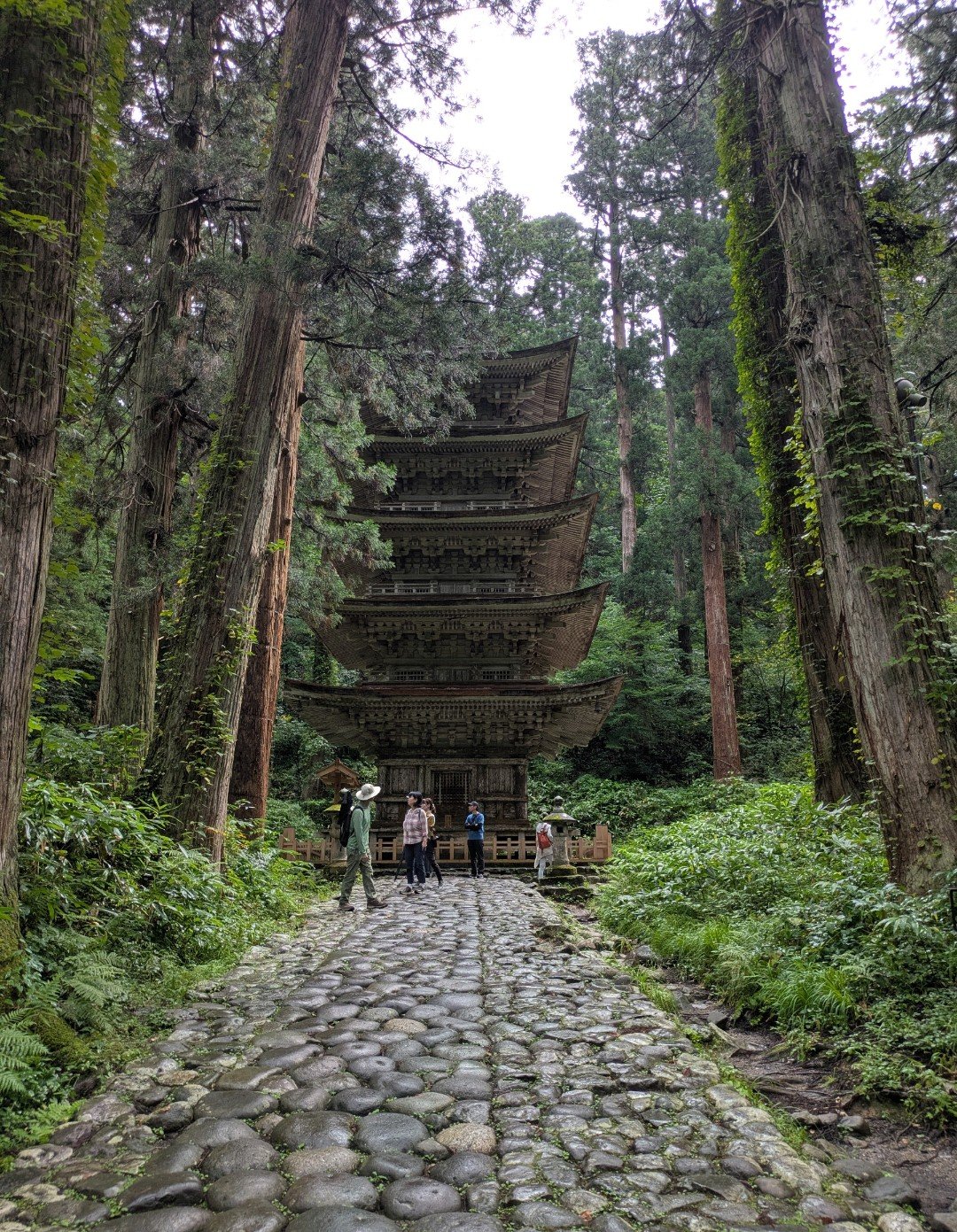 杉木立に囲まれた羽黒山の五重塔と、手前の石畳の参道に立つ参拝者たち