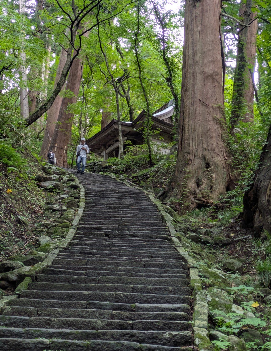 杉の巨木と緑の木々に囲まれた羽黒山の長い石段と、途中に建つ木造のお堂