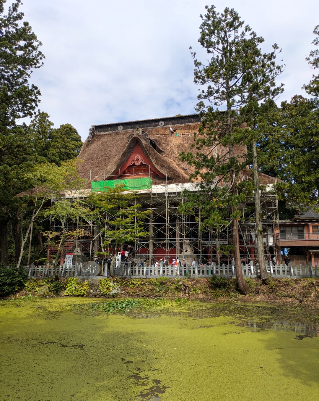 足場に囲まれ茅葺き屋根の修復中の出羽三山神社の社殿と、手前の緑に覆われた池