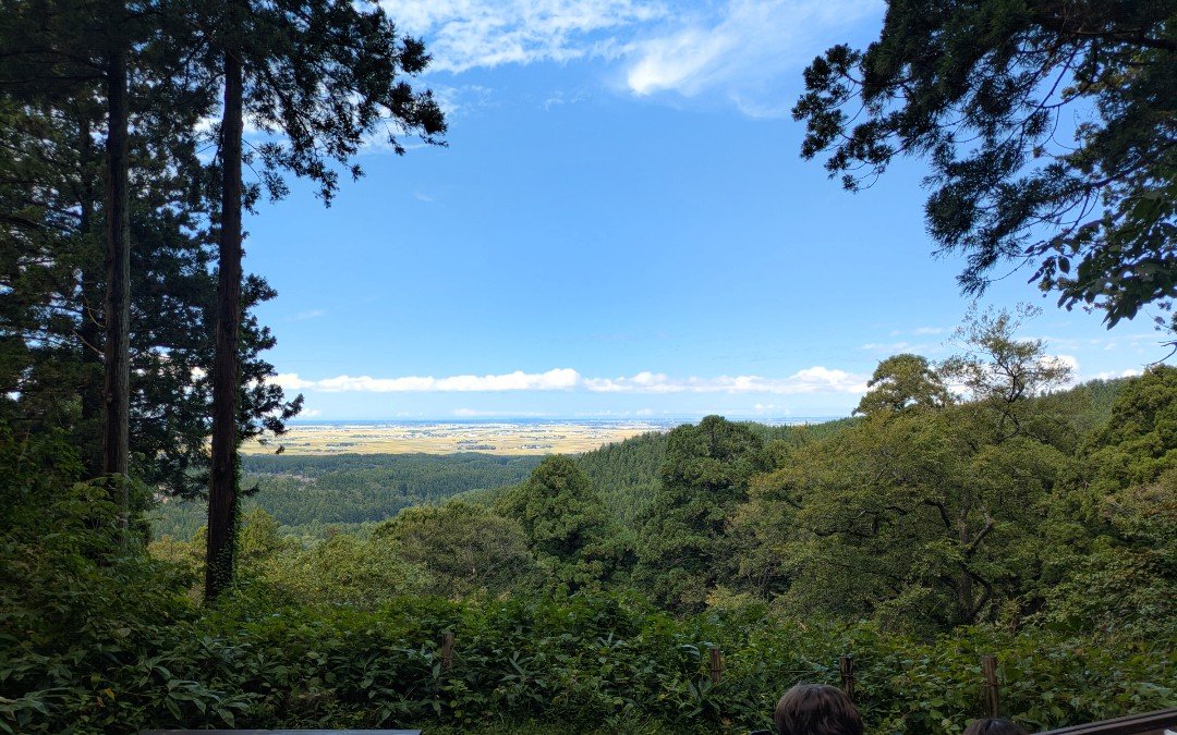 羽黒山の茶屋付近から見下ろす庄内平野と日本海、杉林越しの夏の青空