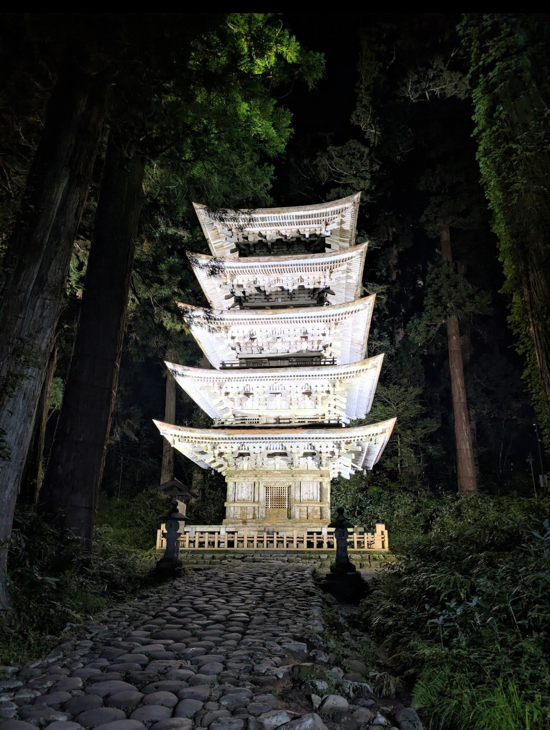 夜の杉木立の中でライトアップされた羽黒山の五重塔と石畳の参道