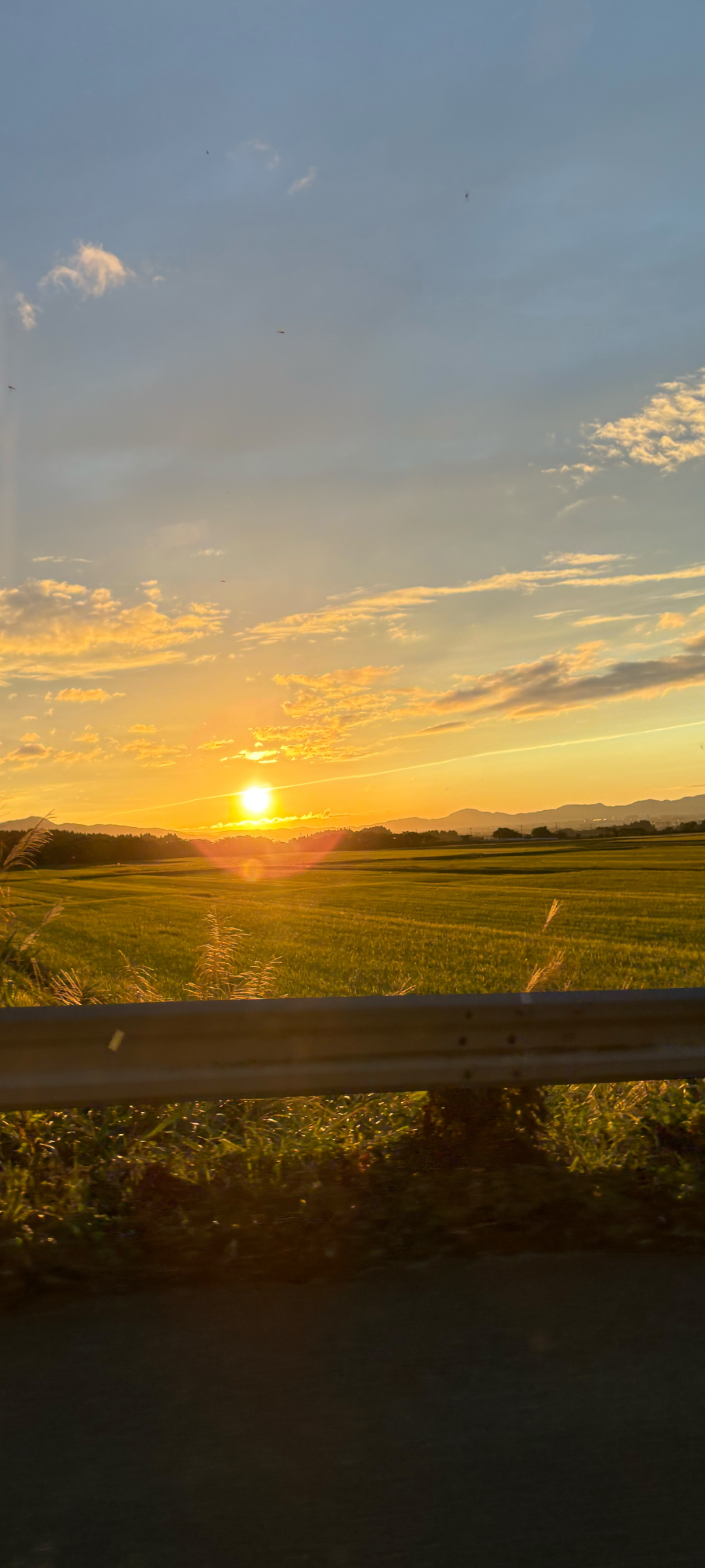 ガードレール越しに見る、夕日に照らされた田んぼと遠くの山並み