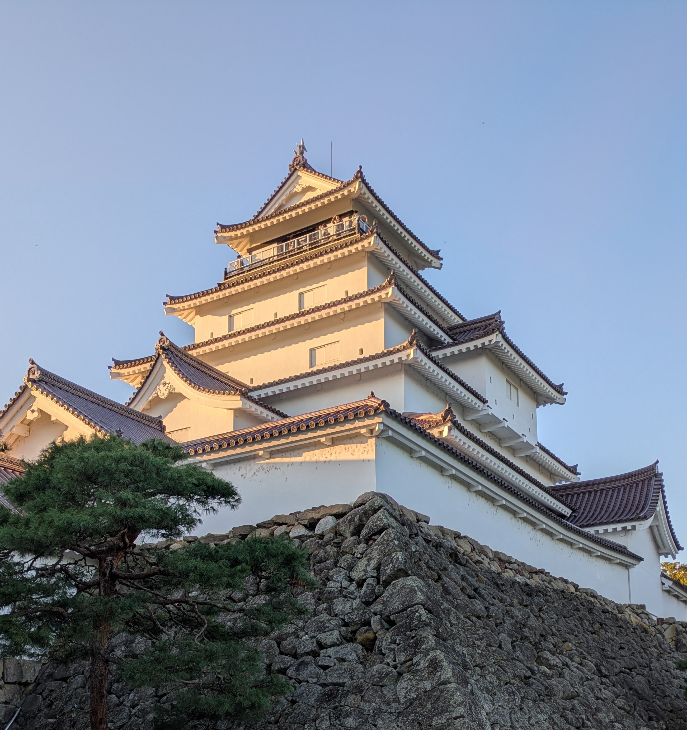 夕日に照らされる会津若松の鶴ヶ城天守と石垣、手前に松の木