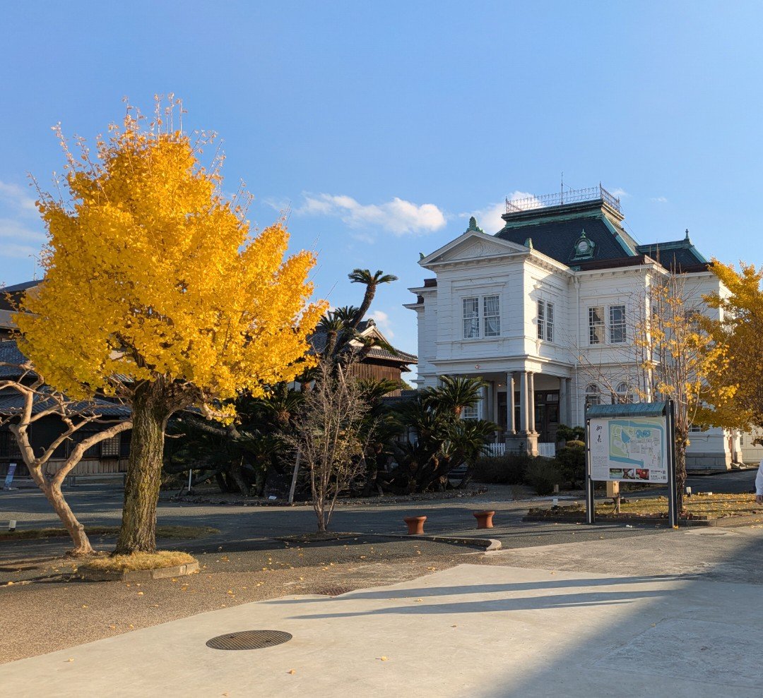 黄葉したイチョウの奥に立つ白い洋館、晩秋の晴れた日の柳川